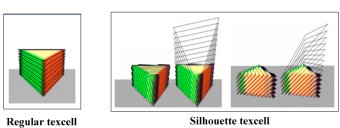 regular and silhouette texcells